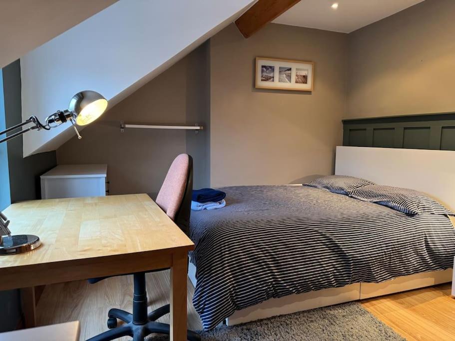 Stylish, Spacious And Central 4 Bedroom House Belfast Exteriér fotografie